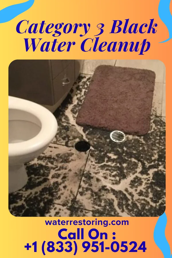 Category 3 Black Water Cleanup in Llano, TX